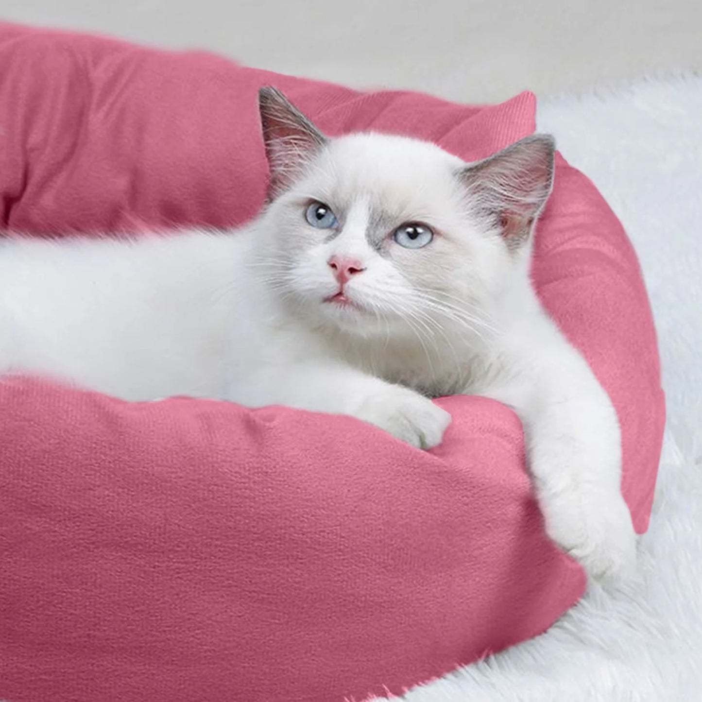 Calming Cat Beds with Pillow for Small Medium Dogs and Cats, round Dog Puppy Cuddler Cozy Bed, Washable Fluffy Plush Pet Bed Thickened Dog Kennel Mat for Puppy Sleeping, M 45CM