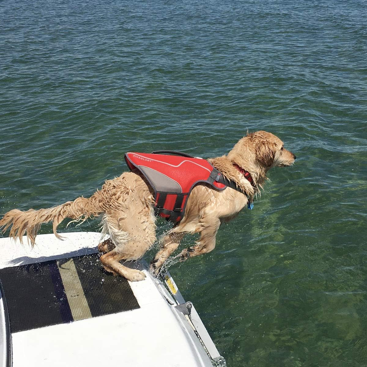 New Neoprene Sports Style Dog Life Jackets, Snug & Safer Dog Life Vest with Superior Buoyancy & Rescue Handle